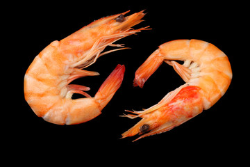 shrimps isolated on a back background. top view