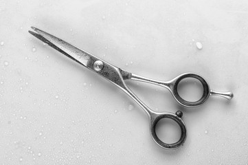 Professional Barber Scissors, Hair Cutting. Hairdresser salon concept, Hairdressing Set. Haircut accessories with water drops