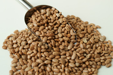 Fagioli. Alimento ricco di proteine, sali minerali e vitamine