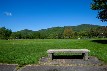 Fototapeta premium A place to rest in the park