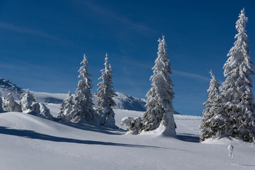 Fototapeta premium Amazing winter landscape of Vitosha Mountain, Sofia City Region, Bulgaria