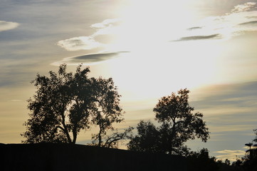 The sun shinning over  couple of trees