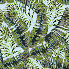 Seamless pattern of a tropical palm tree, jungle leaves. Vector floral pattern.