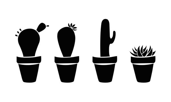 Cactus Icon Images Browse 696 Stock Photos Vectors And Video