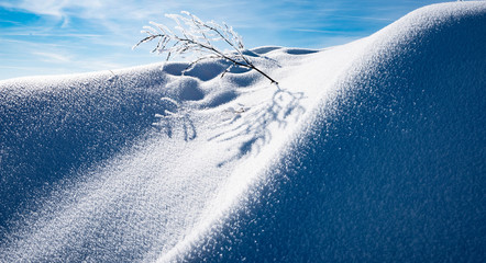 snow landscape close up