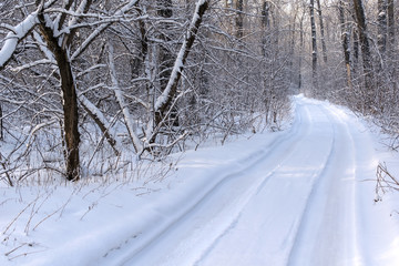 landscape of winter forest and road in the snow with traces of tires