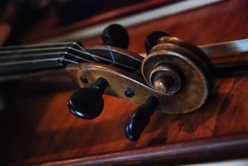 violin in vintage style on wood background