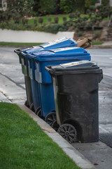 Multi-colored plastic garbage cans full of trash and waiting for pickup on a suburban street © Steve Hull