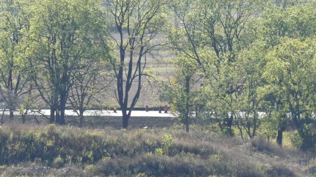 Cars Driving On Road Through Trees With Meadow In Background On Sunny Autumn Day