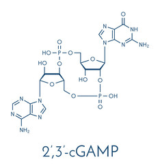 Cyclic guanosine monophosphate–adenosine monophosphate (2',3'-cGAMP) molecule. Skeletal formula.