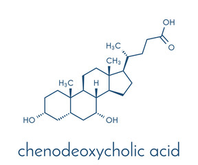 Chenodeoxycholic acid drug molecule. Skeletal formula.