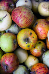 Apples on black background