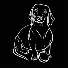 Fototapeta premium Dog. Dachshund. Realistically Hand-drawn Dachshund. White outline. Transparent background. Vector illustration. Black background. Print