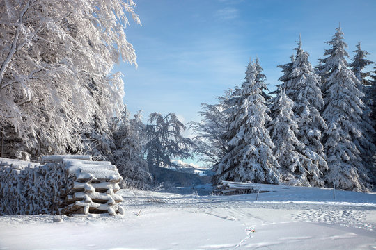 Winterzauber_9671