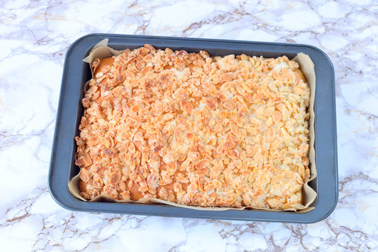 「Ganzer」の写真素材 | 1,423件の無料イラスト画像 | Adobe Stock