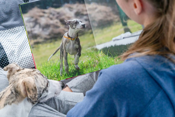 Schulterblick, enge Bindung, Mädchen schaut mit Ihrem Hund ein Hundefotobuch