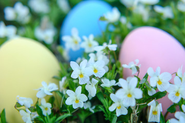 Colorful Easter Eggs in a Field