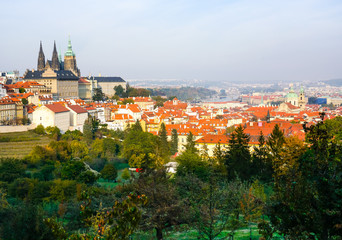 Rooftop View of Prague