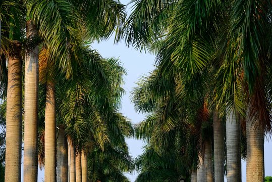 Regia 이미지 – 찾아보기 7,821 스톡 사진, 벡터 및 비디오 | Adobe Stock