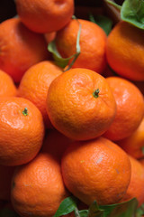 Tangerines with some green leaves