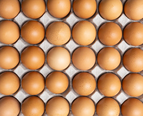 Close up group of fresh organic chicken eggs in paper tray..