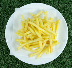 French Fries in a white dish on green grass on background,Top view.