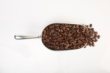 Several coffee beans on a white background