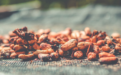 organic cacao beans drying. Homemade chocolate