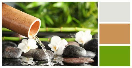 Bamboo fountain with spa stones and flowers. Color palette