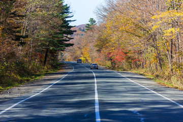 Fototapeta premium The road in the middle of a colorful autumn forest