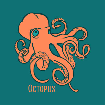 Cartoon style vector illustration orange octopus. Great design element for sticker, patch or poster. Unique and fun drawing with lettering isolated on dark blue background