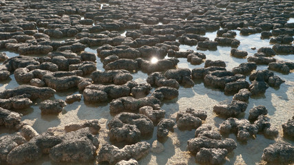 stromatolites structures formed in shallow water 
