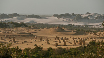 pinnacles in the desert of nambung national park, australia 