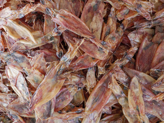 squid dried for sell at local market