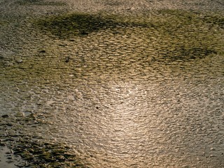 Drought land so long waterless. Ground begins to crack after no water in the summer.
