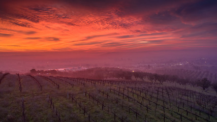 Obraz premium Paso Robles Sunrise