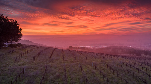Paso Robles Sunrise