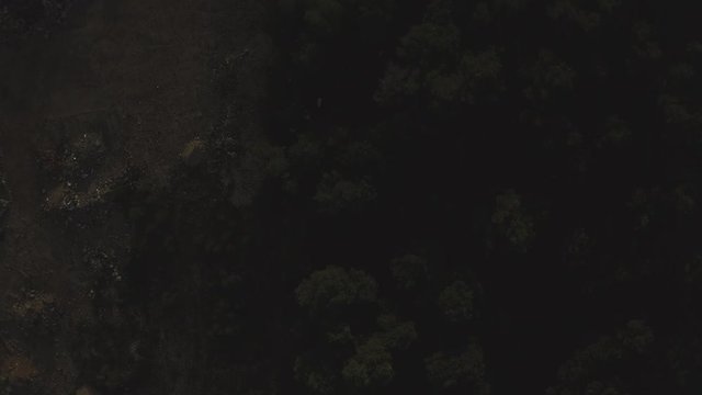 Beautiful view of the trees on a misty scenery and a road at sunrise. Zadar Croatia. Aerial view. Birds eye revealing