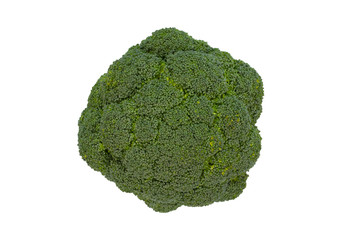 Broccoli isolated on white background