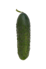 Cucumber isolated on white background