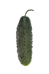 Cucumber isolated on white background