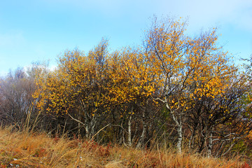 Fototapeta premium mountain natural scenery