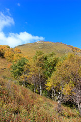 mountain natural scenery