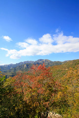 Obraz premium mountain natural scenery