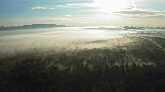 Beautiful misty landscape at sunrise. Zadar Croatia. Aerial view travelling