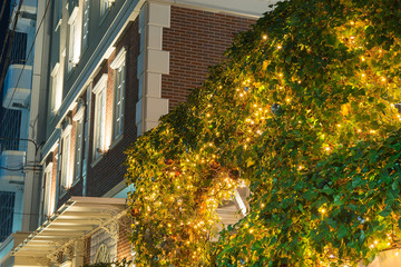 梅田周辺のイルミネーション