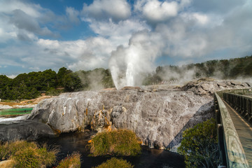 World famous Pohutu Geyser in Rotorua, North Island of New Zealand