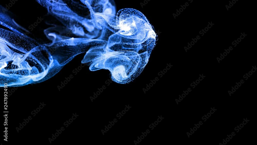 Aufkleber 3d ink effect advection in 4k. glitter in stream of invisible ink in water. 3d render with depth of 