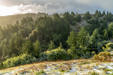 View of the San Francisco Peninsula mountains after an unusual snow storm, Windy Hill Open Space Preserve, California