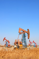 Pumping unit and reed under blue sky